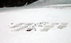 Alaska - Skagway:  dogsled camp at Denver Glacier - aerial view (photo by Robert Ziff)