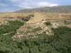 Algeria / Algerie - Gorges de Tighanimine - El Abiod - Batna wilaya -  Massif des Aurs: river of palms - photo by J.Kaman