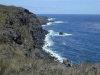 Amsterdam island: rugged coastline (photo by Francis Lynch)