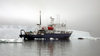 George V Coast, East Antarctica: expedition vessel, Spirit of Enderby / Professor Khromov in front of a massive iceberg, once part of the Mertz Glacier tongue - Southern Ocean - photo by R.Eime