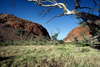 Australia - - photo by  Picture Tasmania/Steve Lovegrove