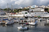 Azores / Aores - Terceira - Angra do Herosmo: marina - photo by A.Dnieprowsky