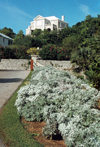 Bermuda - Hamilton: white roof - in Bermuda roofs are often limed pure water collection from the rains - photo by G.Frysinger