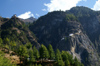 Bhutan - Paro dzongkhag - forest - great view on the way up to Taktshang Goemba - photo by A.Ferrari