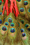 Bhutan, Thimphu: Ceremonial Peacock fans - photo by J.Pemberton