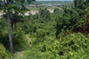 Brazil / Brasil - Amazonas - Boca do Acre - Kamicu village: path to the river / vereda at ao rio (photo by M.Alves)