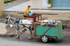 Brazil / Brasil - Brasilia: recycling - quadra 413 asa norte 03 / reciclando - photo by M.Alves