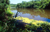 Brazil / Brasil - Paran river - rio Paran (photo by L.Moraes)