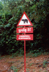 Angkor, Cambodia / Cambodge: Phnom Bakeng - 'careful elephants'!  - photo by Miguel Torres