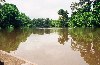 Cameroon - Kribi / KBI (Sud province): up river  to visit the Pygmies