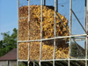 Wainfleet, Ontario, Canada / Kanada: corn storage - agriculture - photo by R.Grove