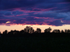 Canada / Kanada - Beamsville area, Ontario: dusk - silhouettes in the forest - photo by R.Grove