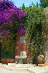 Tarragona, Catalonia: fountain surrounded by vegetation - old city - photo by B.Henry