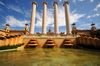 Barcelona, Catalonia: Montjuc - four Ionic columns seen from the Magic Fountain, Palau d'Alfons XIII, Palau de la Reina Victria Eugni and Palau Nacional - photo by M.Torres