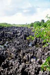 Hell, Grand Cayman: volcanic area - North West - photo by D.Forman