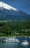 Araucana Region, Chile - Lake Villarica: forest and partial view of Villarica volcano, Villarica NP - photo by Y.Baby