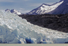 Torres del Paine National Park, Magallanes region, Chile: the massive wall of ice that is Grey Glacier ends at Grey Lake - Chilean Patagonia - photo by C.Lovell