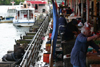 Valdivia, Los Rios, Chile: sea lion wating for a snack - fish market - photo by N.Cabana