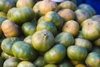 Costa Rica - Alajuela province: Mandarin Oranges for sale at a roadside market - Citrus reticulata - photo by H.Olarte