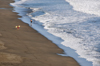 Playa Hermosa, Puntarenas province, Costa Rica: surfers leave the beach - photo by M.Torres