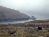 Crozet islands - Possession island: view from Alfred Faure station (photo by Francis Lynch)