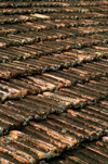 Cuba - Holgun - rooftop - ld tiles - photo by G.Friedman