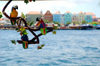 Curacao - Willemstad: Hand made parrots in market stall in foreground, De Rouvilleweg,Otrobanda waterfront in background. - photo by S.Green