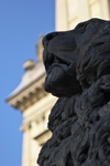 Lion sculpture outside the Rudolfinum, Dvorak Concert Hall. Prague, Czech Republic. - photo by H.Olarte