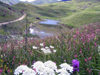 Russia - Dagestan - Tsumada rayon: pond (photo by G.Khalilullaev)