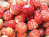 Russia - Dagestan - Tsumada rayon: wild strawberries (photo by G.Khalilullaev)