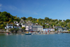 Dittisham, Devon, England: seen from Greenway Quay - photo by T.Marshall