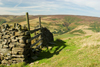 Peak District, Derbyshire, England: close gate - near Castleton - photo by I.Middleton