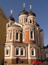 Estonia - Tallinn: behind Alexander Nevski Orthodox Cathedral - photo by J.Kaman