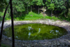 Estonia - Saaremaa island: Kaali meteorite crater - lake - Kaali kraater - meteoriidikraater (photo by A.Dnieprowsky)