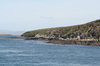 Falkland islands - East Falkland - Salvador - rocky coast - photo by Christophe Breschi