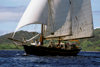 Yasawa Islands, Fiji: the 106 ft Dutch built double masted schooner La Violante at sail near the coast - sailing ship - photo by C.Lovell