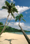 Nacula Island, Yasawa group, Fiji: perfect tropical beach, tranquil scenario - white sand, coconut trees and turquoise water - photo by C.Lovell