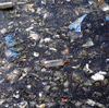 Le Havre, Seine-Maritime, Haute-Normandie, France: port pollution - water covered in rubish - photo by A.Bartel