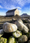 Russia, Northwestern Federal District, Arkhangelsk Oblast - Franz Josef Land - Bell Island: bird stained rocks with hut (photo by Bill Cain)