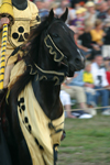 Gotland island - Visby: horse - medieval week - knight - photo by C.Schmidt