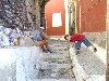 Greek islands - Santorini / Thira: meeting the natives - photo by A.Dnieprowsky