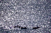 Caribbean - Haiti - Labadee / Labadie:  fishing boats (photo by Francisca Rigaud)