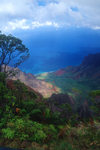 1 Hawaii - Kauai Island: Na Pali coast: Hawaiian Islands with flora in foreground and ocean in background - Hawaiian Islands - photo by D.Smith