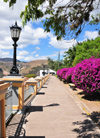 Tegucigalpa, Honduras: Parque La Leona - Parque Manuel Bonilla - photo by M.Torres