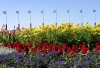 Hungary / Ungarn / Magyarorszg - Budapest: flower beds and poles with Hungarian flags (photo by J.Kaman)