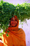 India - Darjeeling (West Bengal): a girl carries grass on her head - photo by E.Petitalot