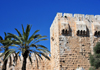 Jerusalem, Israel: Omar Ben el-Hatab square, palm trees and south tower at the Citadel's gate - photo by M.Torres