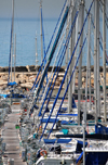 Tel Aviv, Israel: yachts lined at tel Aviv Marina - photo by M.Torres