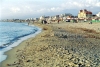 Italy / Italia - Viareggio ( Toscany / Toscana ) : walking on the beach (photo by Michel Bergsma)