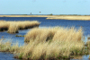 Latvia - Pape: by the lake (Rucava, Liepajas Rajons - Kurzeme) - photo by A.Dnieprowsky